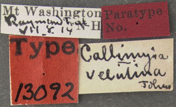 Media type: image;   Entomology 13092 Aspect: labels